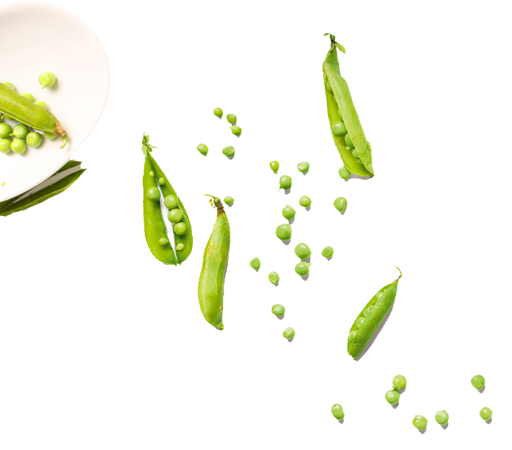 Beans on plate