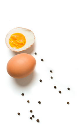 Egg